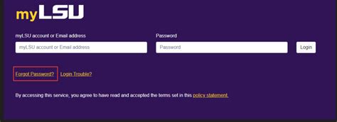 lsu ozamiz student portal|MyLSU Account Setup .